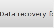 Data recovery for Reno data